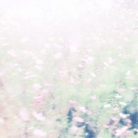 chihei_hatakeyama_hakobune_the_fall_rises