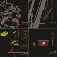 tiny_portraits_exploring_sweden