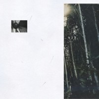 velleitie_unblurred_variants