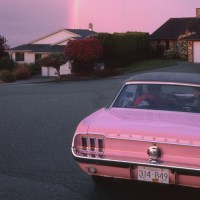 dne_these_semi_feelings_they_are_everywhere